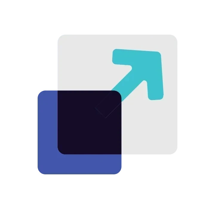 Web development service